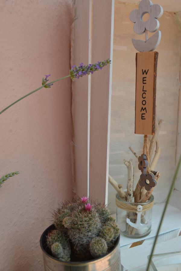 Into The Wild Green B&B Αλγκέρο Εξωτερικό φωτογραφία