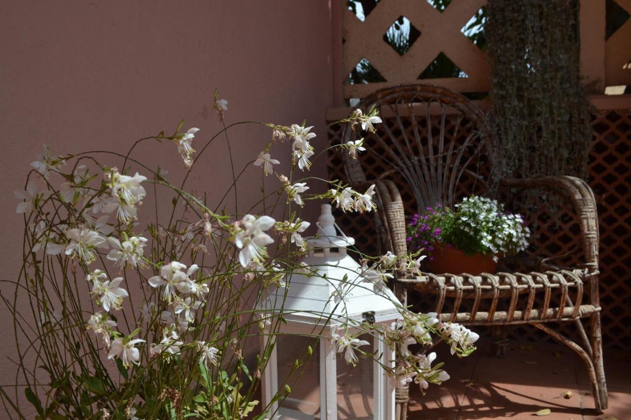Into The Wild Green B&B Αλγκέρο Εξωτερικό φωτογραφία